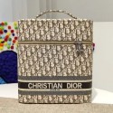 Christian Dior ディオール 化粧品ポーチ クリスチャン ブランド バニティケース ディオール オブリーク 軽い 刺繍 プレゼント 韓国 ファッション レディース